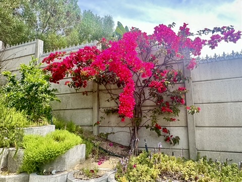 4 Bedroom Property for Sale in The Village Western Cape